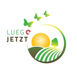  LUEG JETZT